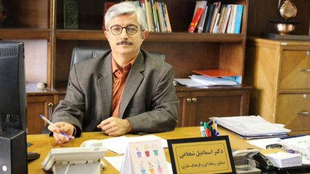 دو خودروسازی