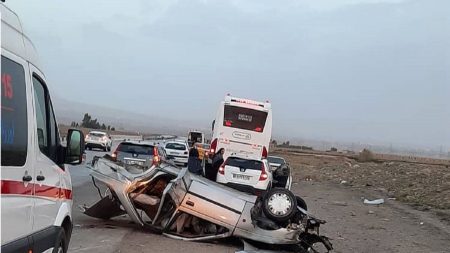 واردات خودروهای برقی