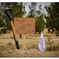 فونیکس
