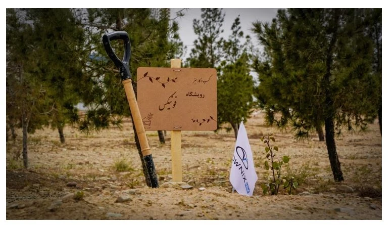 فونیکس