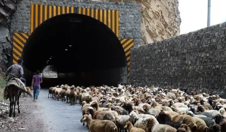 کوچ عشایر