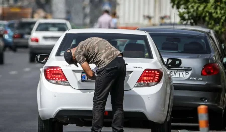 پوشاندن پلاک
