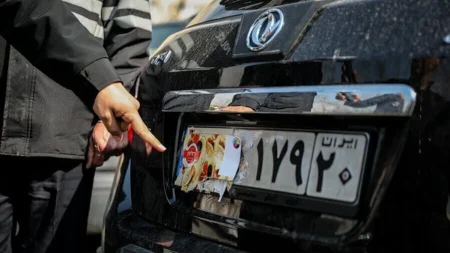 پوشش پلاک