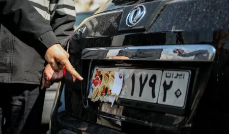 پوشش پلاک