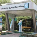 خودروهای برقی