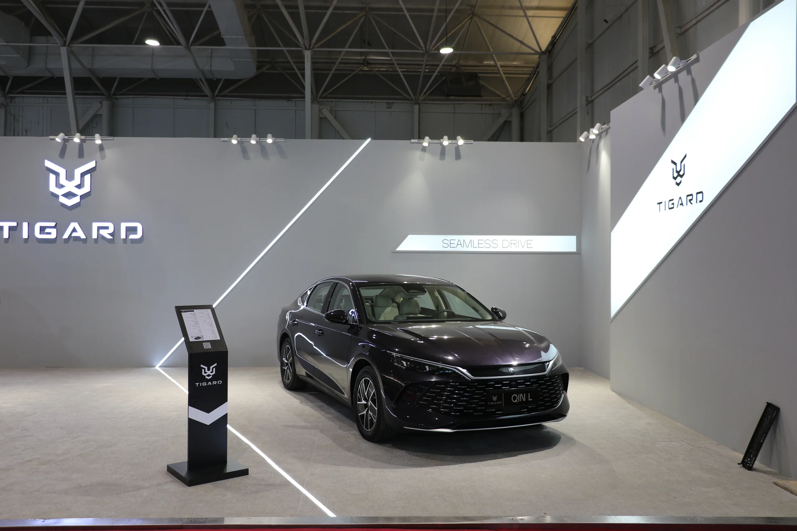 byd qin L