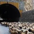 انسداد