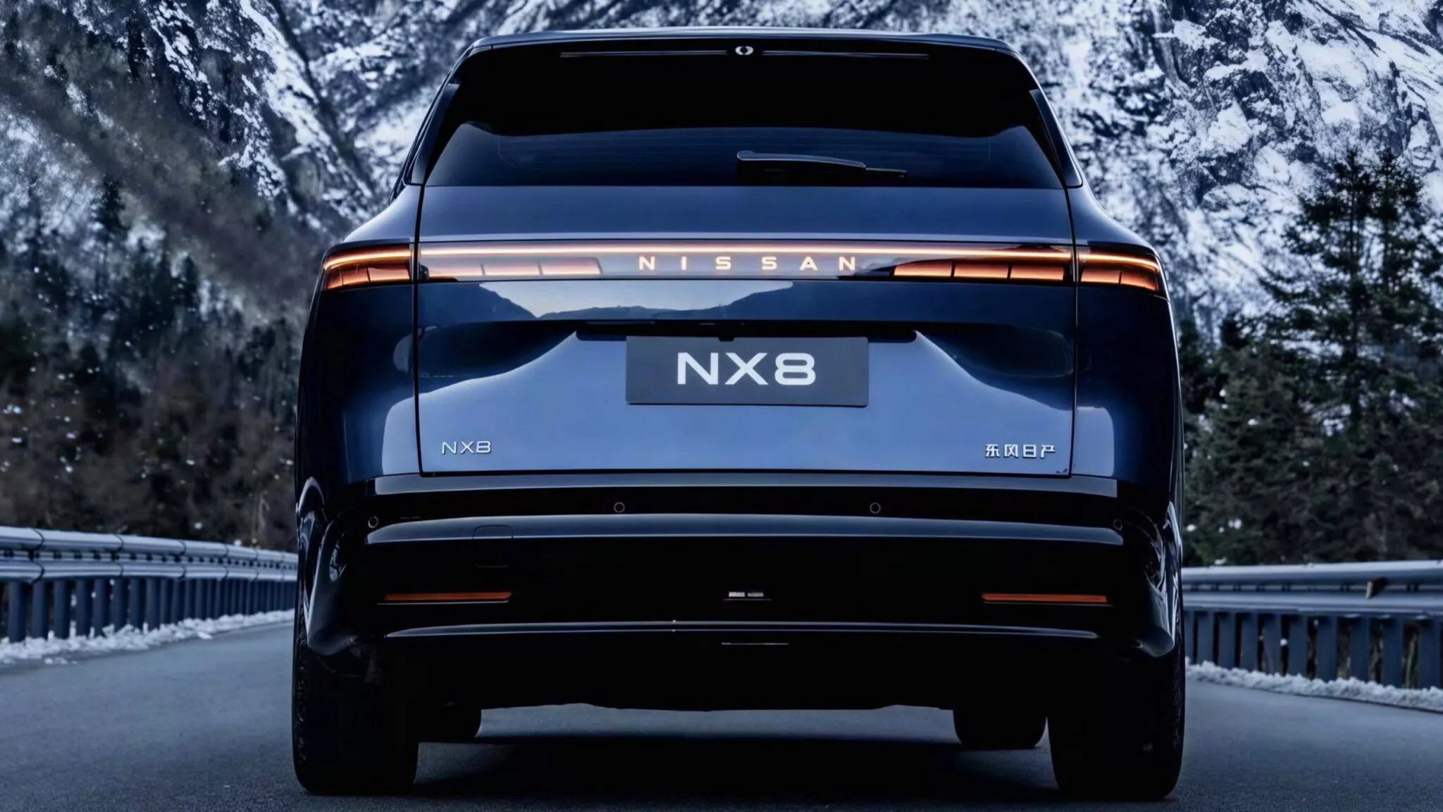 نیسان NX8