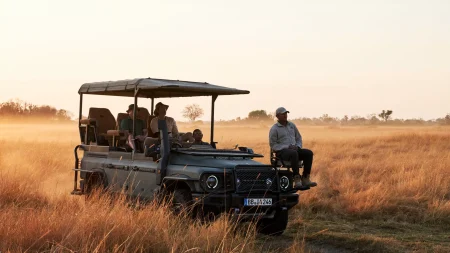 اینئوس گرانادیر گیم ویور