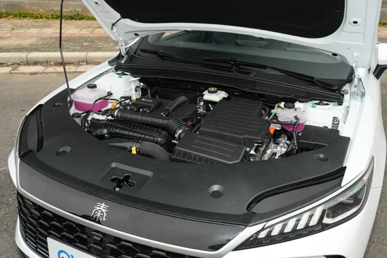 چین پلاس مدل ۲۰۲۶